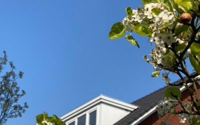Institutionele belegger koopt 19 wooneenheden