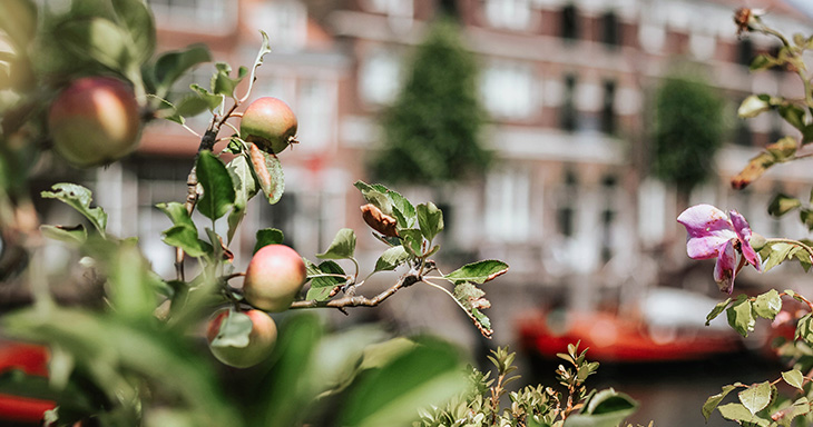 Marktonderzoek; gerealiseerde NL transacties Q1 2020.