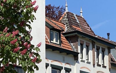 VANDERSTELT; Expert in vastgoedbeleggingen voor het  familievermogen