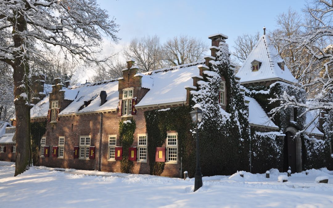 Onderzoek Nyenrode, RSM en Van Lanschot Kempen: externe omstandigheden in combinatie met overheidsbeleid