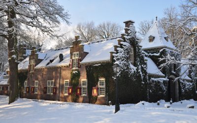 Onderzoek Nyenrode, RSM en Van Lanschot Kempen: externe omstandigheden in combinatie met overheidsbeleid